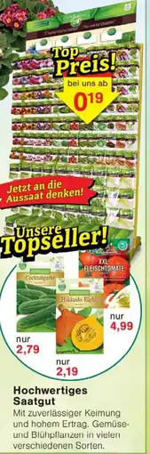 Wiglo Wunderland Hochwertiges Saatgut Angebot