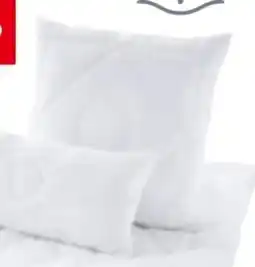 XXXLutz Sleeptex Kopfkissen Nidra Angebot