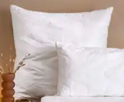 XXXLutz Centa-Star Kopfkissen Pure Breeze Angebot