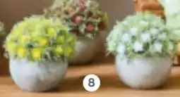 XXXLutz Kunstblumen Angebot