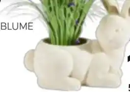 XXXLutz Blumentopf Hase Angebot