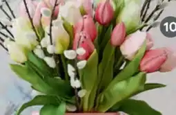 XXXLutz Tulpenbund Angebot