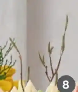 XXXLutz Birkenzweig-Bund Angebot