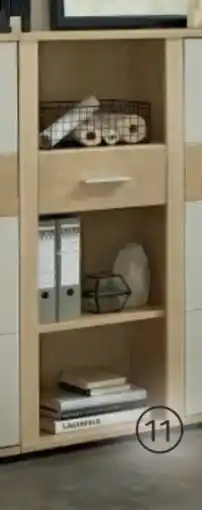 XXXLutz Stylife Aktenregal Angebot