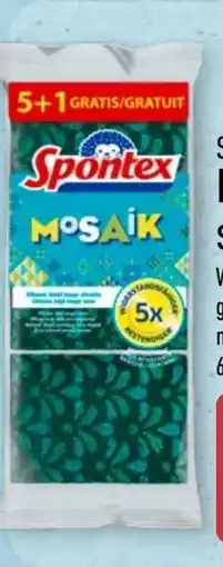 Aldi Nord Spontex Reinigungsschwämme Angebot