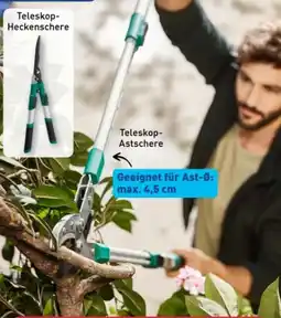 Aldi Nord Gardenline Teleskop-Astschere Angebot