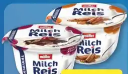 Aldi Nord Müller Milchreis Original Angebot