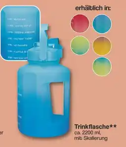 Famila Nord West Trinkflasche Angebot