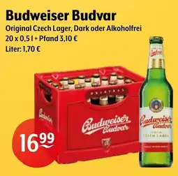 Getränke Hoffmann Budweiser Budvar Angebot