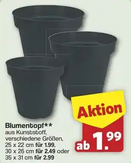 Famila Nord West Blumentopf 25 x 22 cm Angebot