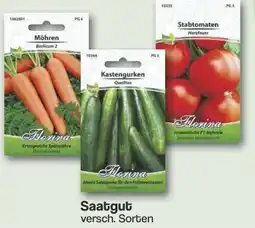 Famila Nord West Saatgut Angebot