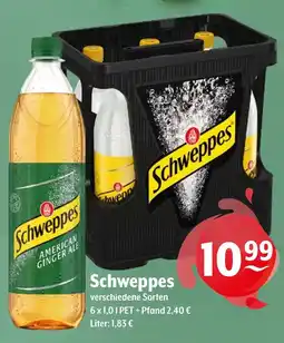 Getränke Hoffmann Schweppes Angebot