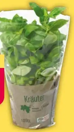 NETTO GO Regio Kräuter Angebot