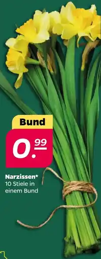 NETTO Narzissen Angebot