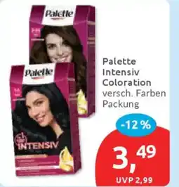Budni Palette Intensiv Coloration Angebot