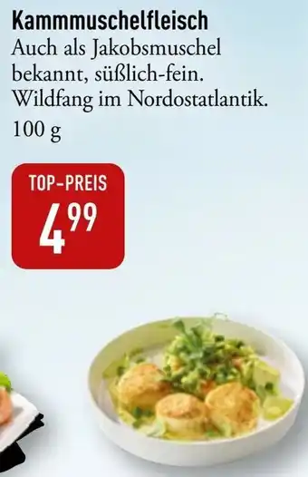 Galeria Markthalle Kammmuschelfleisch Angebot