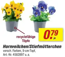 toom Baumarkt Hornveilchen/Stiefmütterchen Angebot
