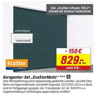 toom Baumarkt EcoStar Garagentor-Set ,,EcoStarMatic" Angebot