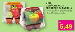 KODi Mini- gewächshaus erdbeere o. paprika Angebot