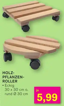 KODi Holz- pflanzen roller Angebot