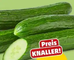 PENNY Marktliebe Gurke Angebot