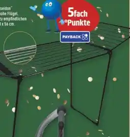 Marktkauf Wäscheständer Poseidon Angebot