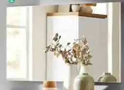 Zurbrüggen XORA XL-Spiegel Angebot