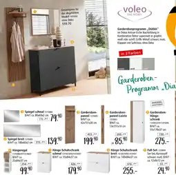 Zurbrüggen Voleo spiegel schmal Angebot