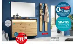 Zurbrüggen Xl-spiegel Angebot