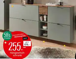 Zurbrüggen Voleo Hängeschuhschrank Angebot