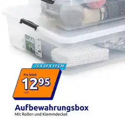 Action Aufbewahrungsbox Angebot