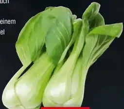 Handelshof Mini Pak-Choi Angebot