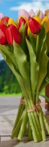 Handelshof Kunst Tulpenbund Angebot