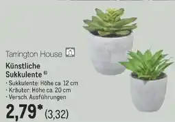 METRO Tarrington House Künstliche Sukkulente Angebot