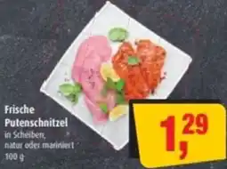 Markant Frische Putenschnitzel Angebot