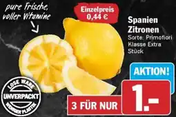 AEZ Spanien Zitronen Angebot