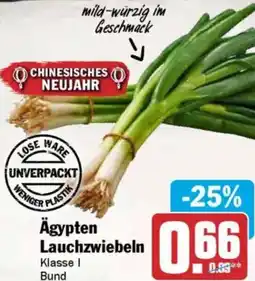 AEZ Ägypten Lauchzwiebeln Angebot