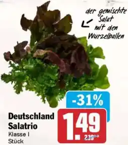 AEZ Deutschland Salatrio Angebot