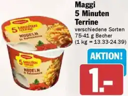 AEZ Maggi 5 Minuten Terrine Angebot