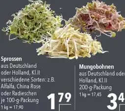 CITTI Markt Sprossen Angebot