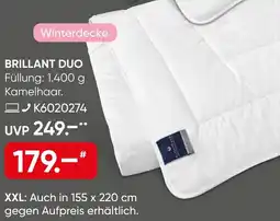 Galeria Billerbeck Kamelhaar-Einziehdecke BRILLANT DUO Angebot