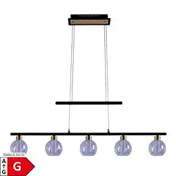 Netto Marken-Discount Näve LED Glas-/Pendelleuchte BRASS L: 90cm schwarz Angebot