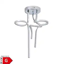 Netto Marken-Discount Näve LED Deckenleuchte LOOP LINE Angebot