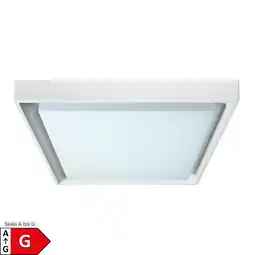 Netto Marken-Discount Näve LED Außendeckenleuchte IP54 MIO s:34cm Angebot