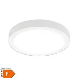 Netto Marken-Discount Näve LED Aufbaupanel dimmbar DIMPLEX D: 30 cm Angebot