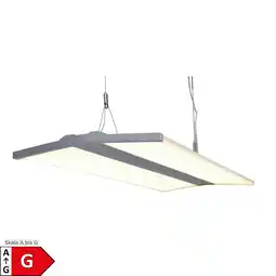 Netto Marken-Discount Näve LED Pendelleuchte FOSON Angebot