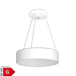 Netto Marken-Discount Näve LED Pendelleuchte CARLA Ø:45cm Angebot