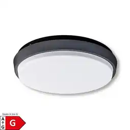 Netto Marken-Discount Näve LED Außendeckenleuchte IP54 MIO d:17,5cm Angebot