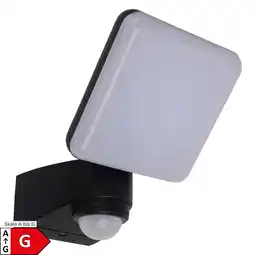 Netto Marken-Discount Näve LED Außenwandleuchte JARO B:14cm 360° Bewegungsmelder Angebot