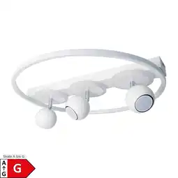 Netto Marken-Discount Näve 3er-Spot LED Deckenleuchte RONDA Ø: 50cm Angebot